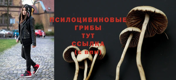спиды Белоозёрский