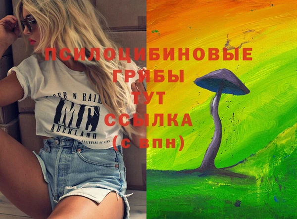 спиды Белоозёрский