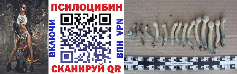 что такое наркотик  Великий Устюг  маркетплейс какой сайт  Псилоцибиновые грибы ЛСД 