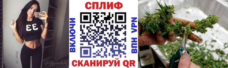 что такое наркотик Великий Устюг Канабис ГИДРОПОН